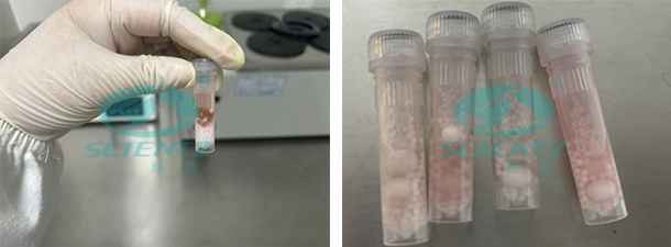 實(shí)驗(yàn)前后對比圖